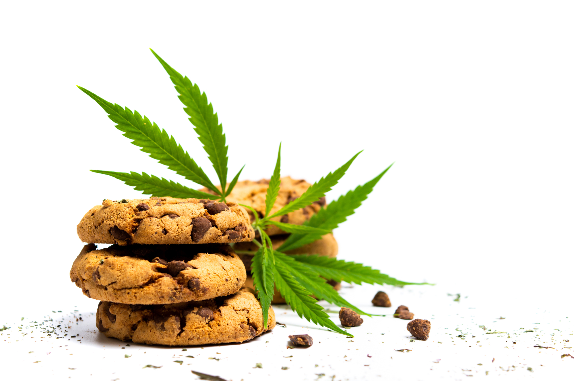 cannabis chocolate chip cookie