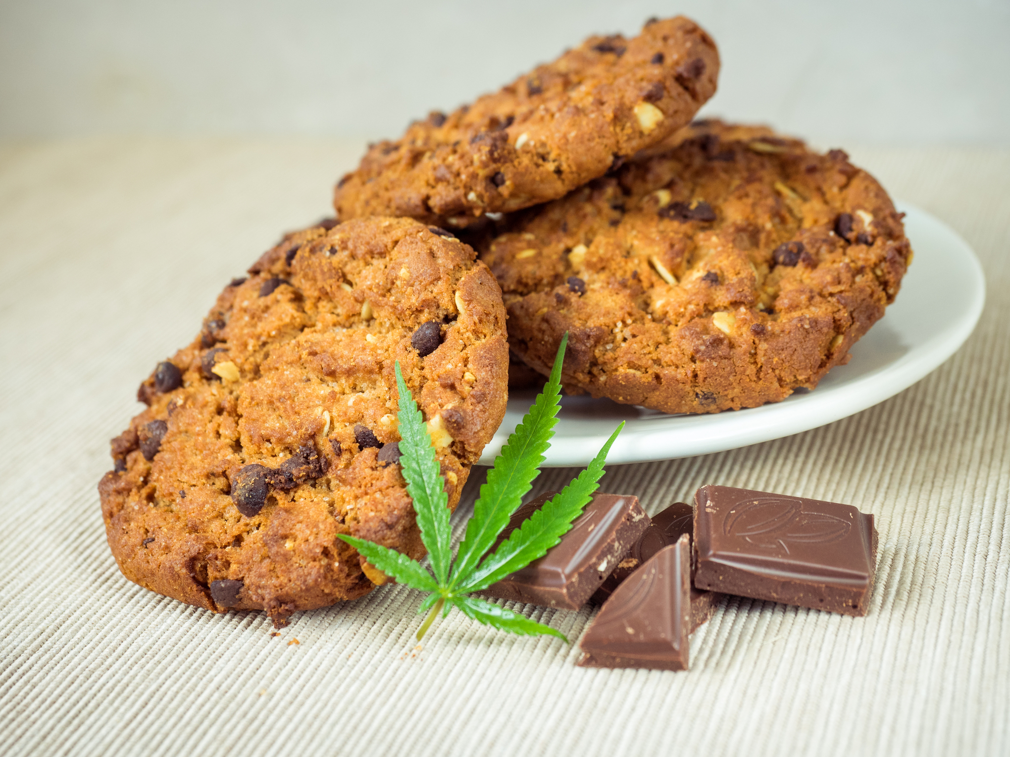 Cannabis chocolate chip cookie