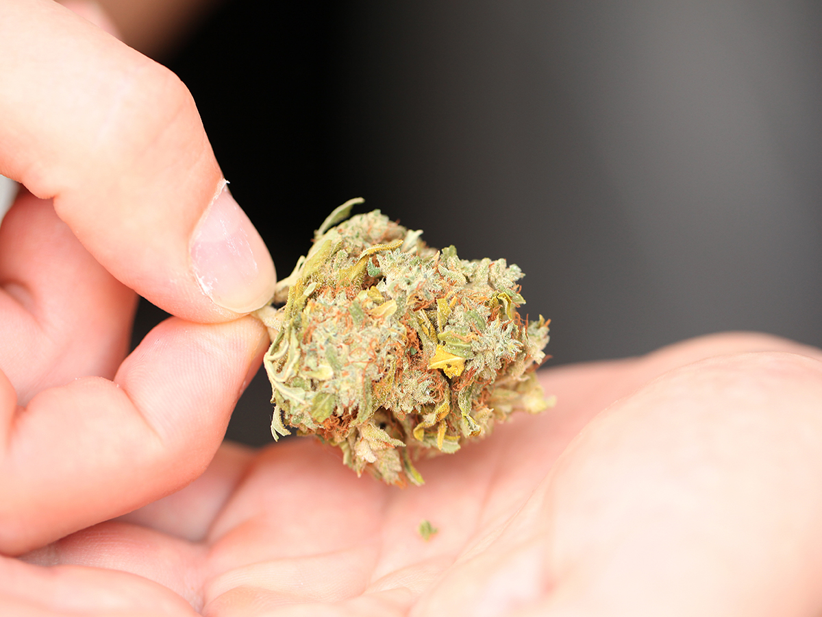 The Pros and Cons of Popcorn Buds