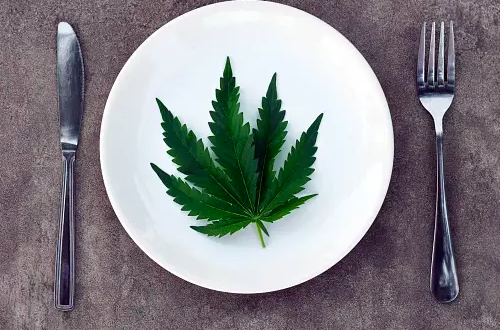 marijuana-leaf-on-a-plate-between-a-fork-and-knife
