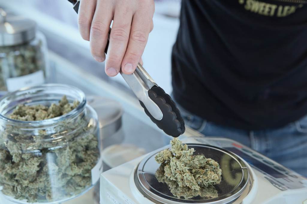 A person holding tongs weighs marijuana flower on a scale