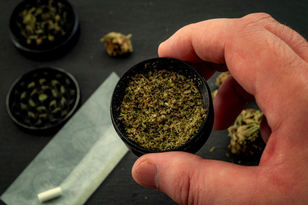 Freshly ground weed in a weed grinder