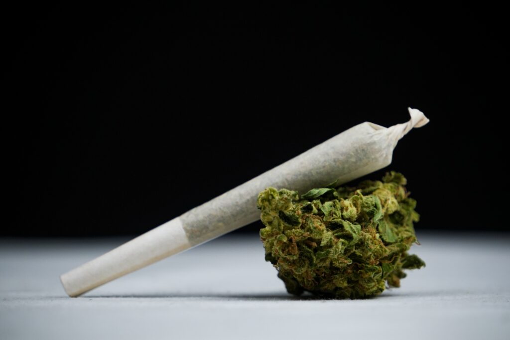 A joint leaning against a cannabis flower