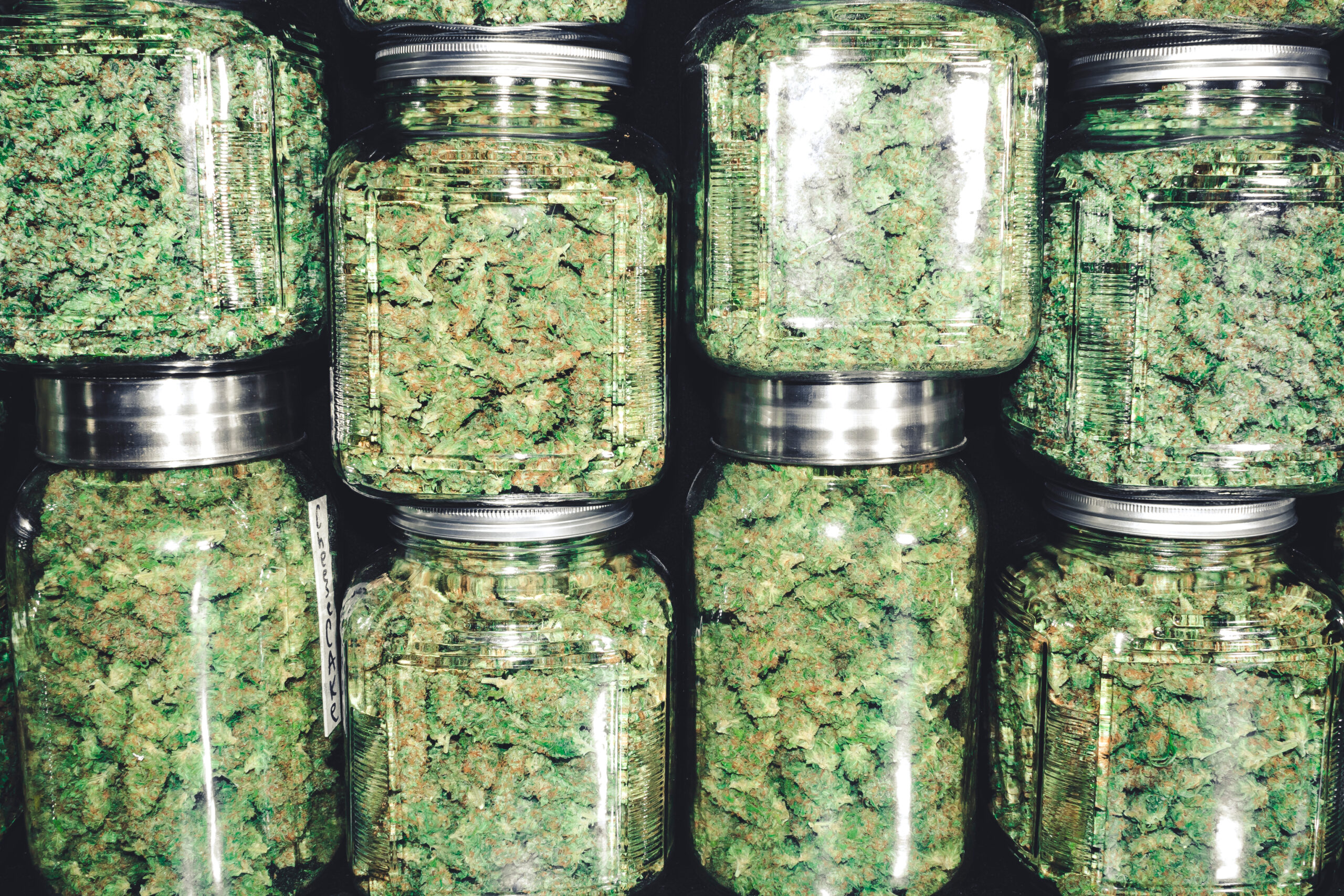 Cannabis flowers in giant glass jars